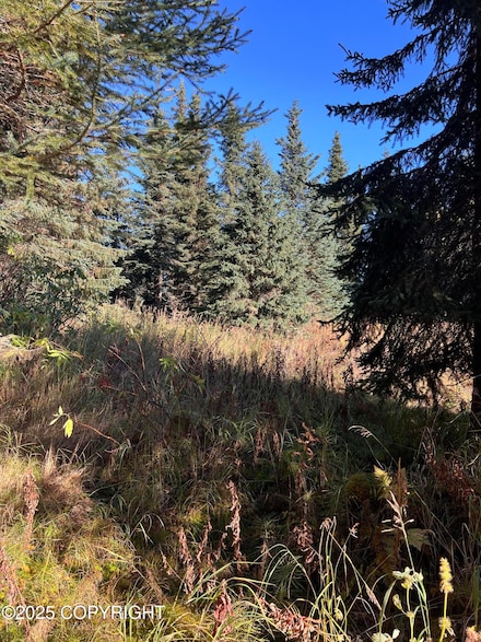 L9 Shegota Loop, Happy Valley, AK 99639