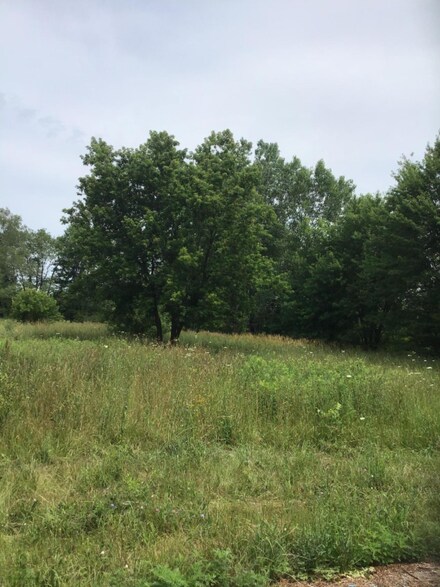 3645 Miller St, Conklin, MI 49403