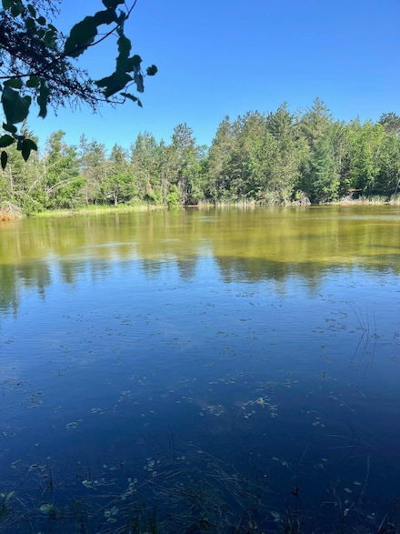 27.7 AC Damrose Dr, Atlanta, MI 49709