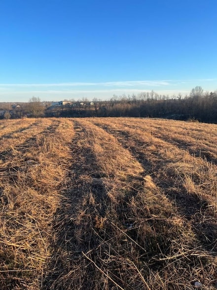 0 Hickey Rd, Bethel, KY 40374