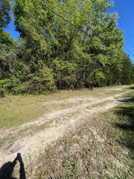 0 Lake Irene Dr, Jesup, GA 31545