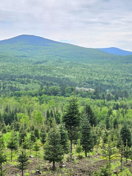 374 Crank Rd, Bloomfield, VT 05905