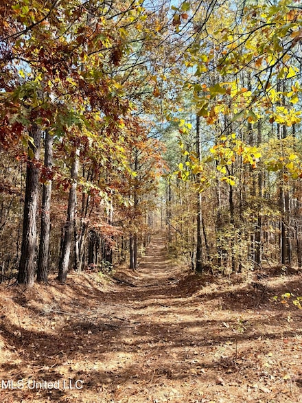 0 Laws Hill Rd Unit 4133415, Holly Springs, MS 38635