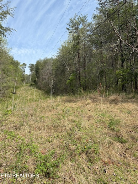 0 Citico Rd Unit 1298029, Vonore, TN 37885