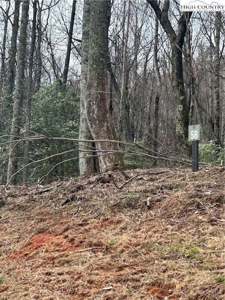 58 Wilderness Reserve Pkwy, Deep Gap, NC 28618