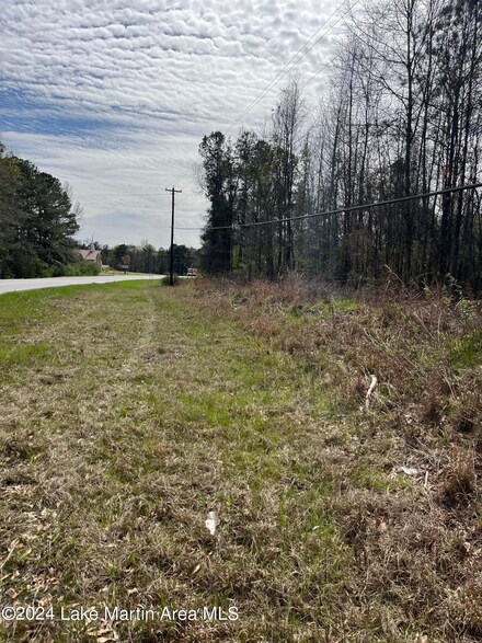 0 40 + - Acres Highway 49 S, Reeltown, AL 36866