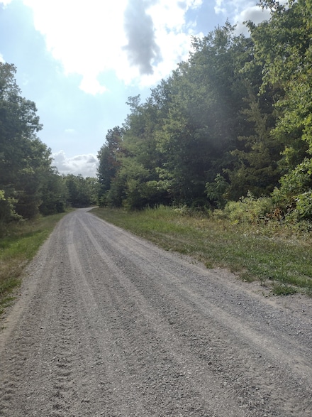 0 Myers Rd Unit RTC2681531, Altamont, TN 37301