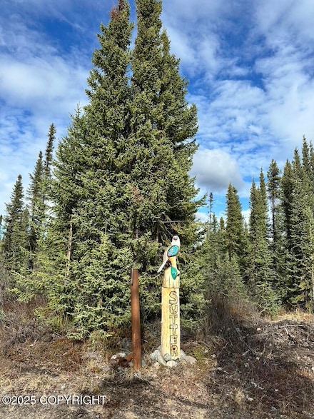 5000 Ridge Rd, Chitina, AK 99586