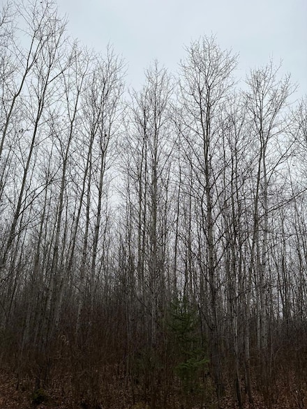 ON Burrows Lake Rd Unit 4067-E, Tomahawk, WI 54487