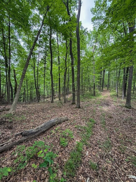 5120 Lower Licking Rd, Morehead, KY 40351