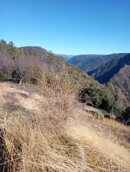 3030 Moody Ridge Rd, Gold Run, CA 95717