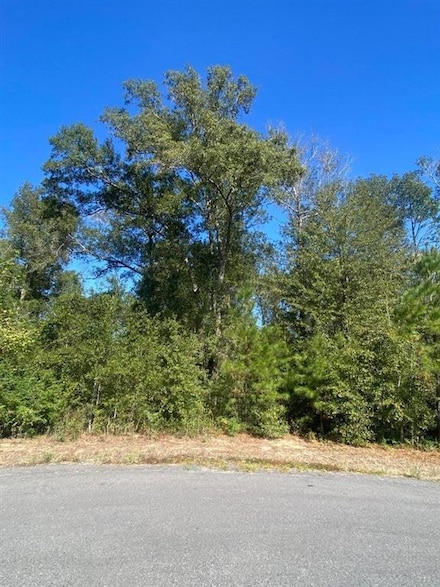 0 E Robinwood Dr Unit SWL25102103, Lake Charles, LA 70611