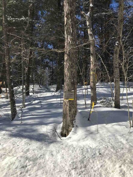 0 Lower Dover Rd Unit 4794465, Marlboro, VT 05344