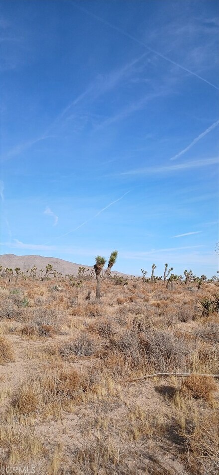 0 Bowen Ranch Rd, Apple Valley, CA 92308