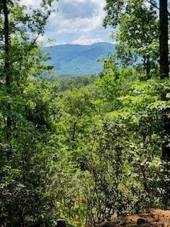 00 19 Marr Heights, Bryson City, NC 28713