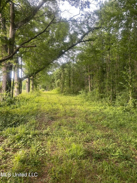 00 Old Highway 80 E, Morton, MS 39117