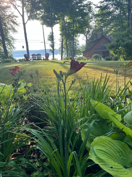 586 Bunker Rd, New London, NH 03257