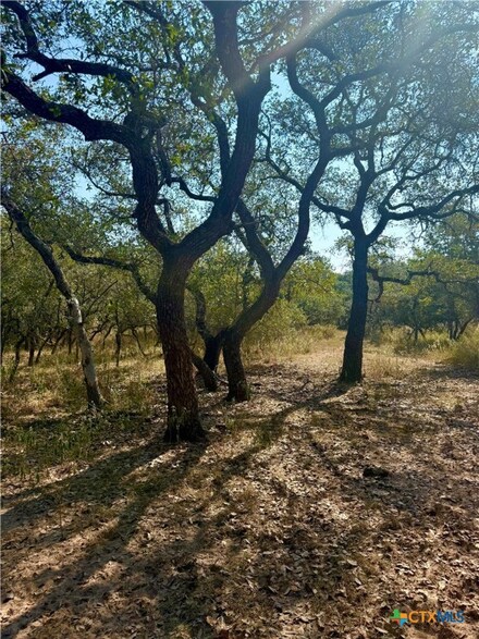 1066 County Road 14, Hallettsville, TX 77964