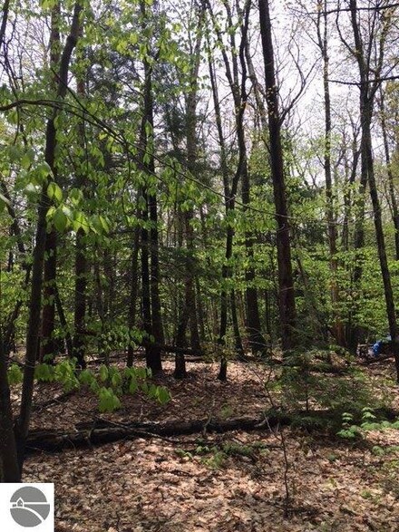 0 E Woolsey Lake Rd Unit C 1833145, Northport, MI 49670
