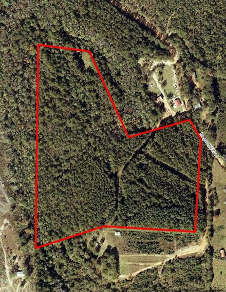 0 Morgan Mill Rd, Brantley, AL 36009