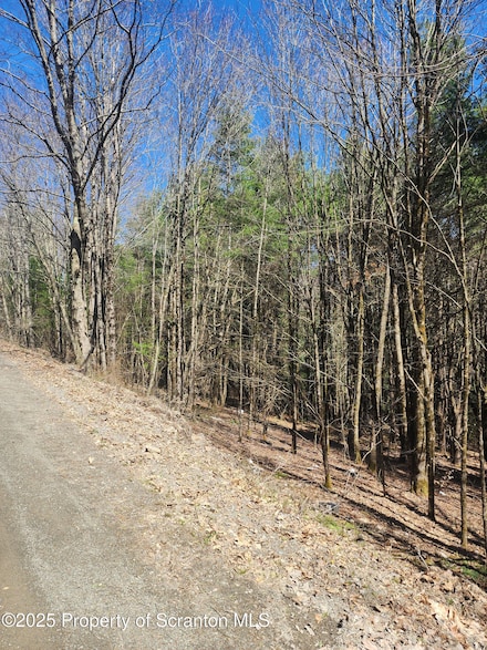234 Tarbell Hill Rd, Deposit, NY 13745