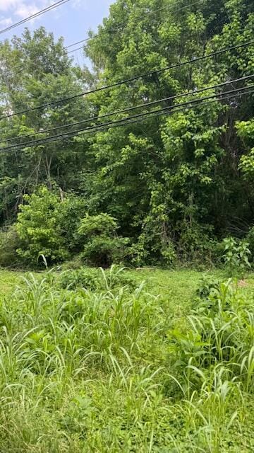 Lot 12 Michigan Avenue Rd NE, Cleveland, TN 37323