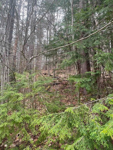 22-3 Morrill Cir, Campton, NH 03223