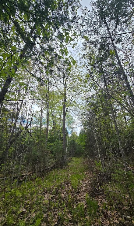 9790 Wisconsin 35, Foxboro, WI 54836