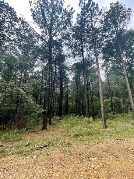 26 Upper Vista Ridge Trail, Broken Bow, OK 74728