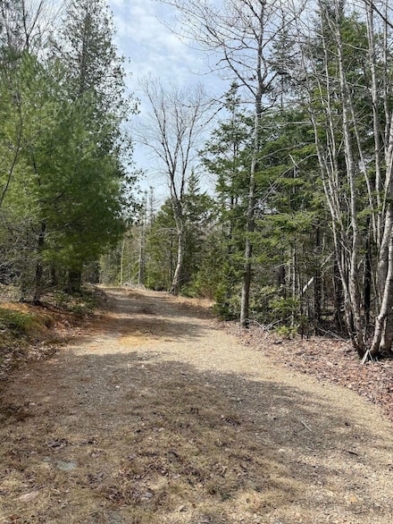 8-9 Western Stream Rd, Robbinston, ME 04671