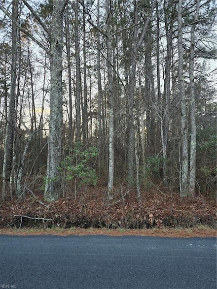 .26+AC Airport Rd, Suffolk, VA 23434