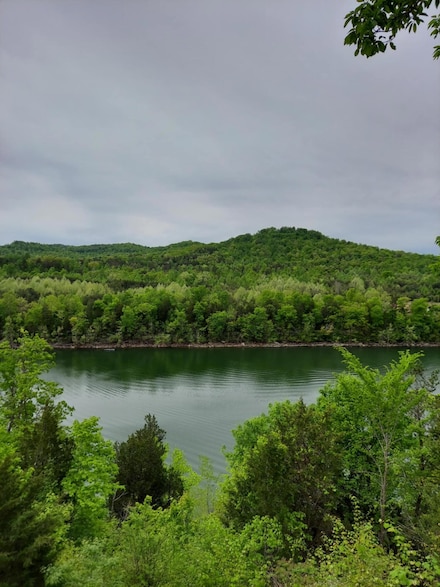 223 Pl Colyer Rd, Somerset, KY 42501