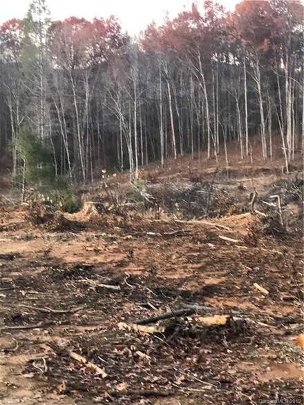1700 Lackey Town Rd, Old Fort, NC 28762