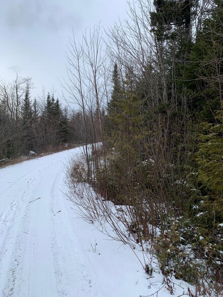 Lot 8 Bog Brook Way, Cutler, ME 04626