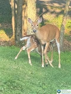 0 Pocono Mountain Lake Dr, Lehman Township, PA 18324