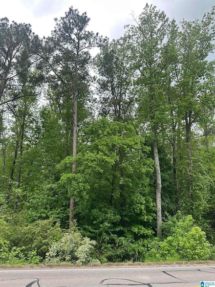 0 Highway 174 Unit 21416876, Pell City, AL 35125