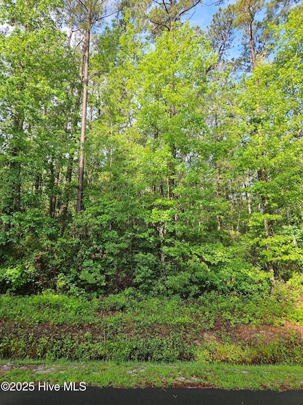 14 Myrtlewood Dr SW, Calabash, NC 28467
