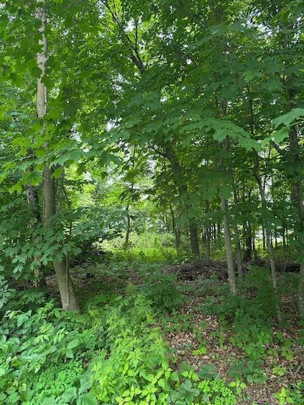 XXX 170th Ave, Balsam Lake, WI 54824