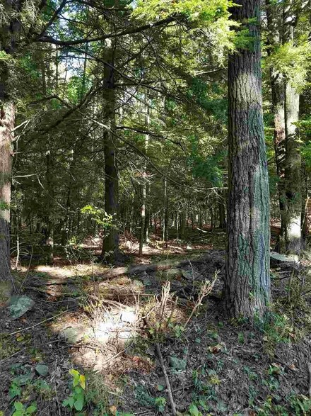 LOT 6 Upper Cherrytown Rd, Rochester, NY 12446