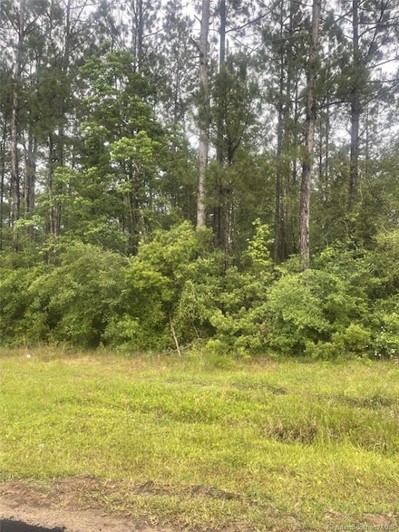 0 E Allen Dr, Ragley, LA 70657