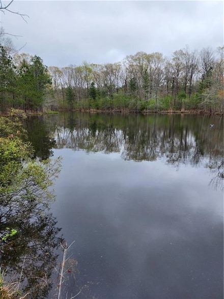 0 Collier Rd, Atlanta, LA 71404