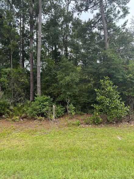 0 NE Co Road 67, Hosford, FL 32334