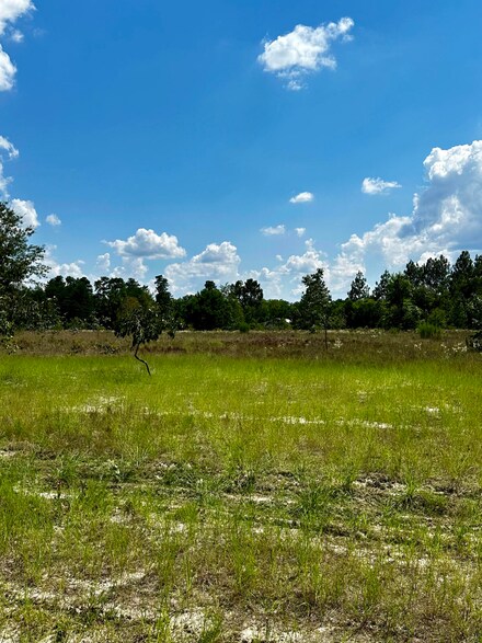 3229 Wire Rd, Monetta, SC 29105
