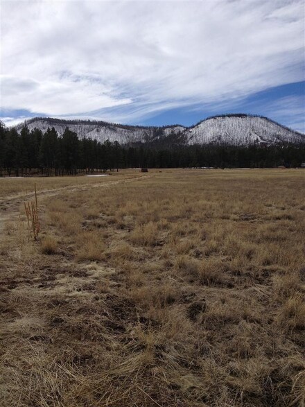 TBA Acr 2260, Alpine, AZ 85920