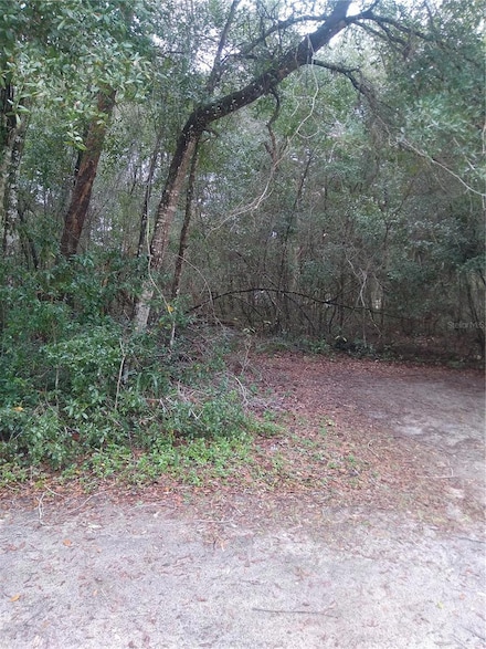00 NE 147th Ct, Silver Springs, FL 34488