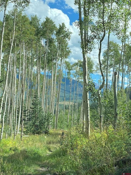 1341 Hampton Rd, Cimarron, CO 81220