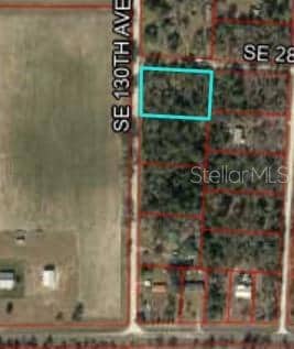 TBD SE 130th Ave, Bronson, FL 32621