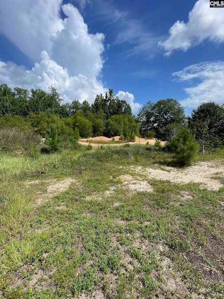 59 Edinburgh Castle Ln, Camden, SC 29020