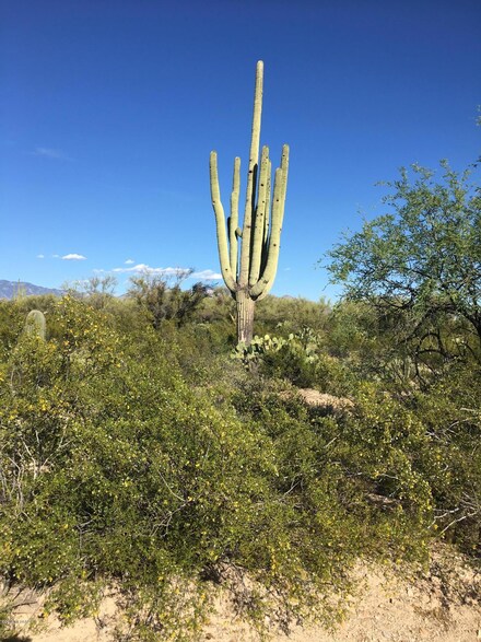 TBD N Migitty Ln, Oro Valley, AZ 85742