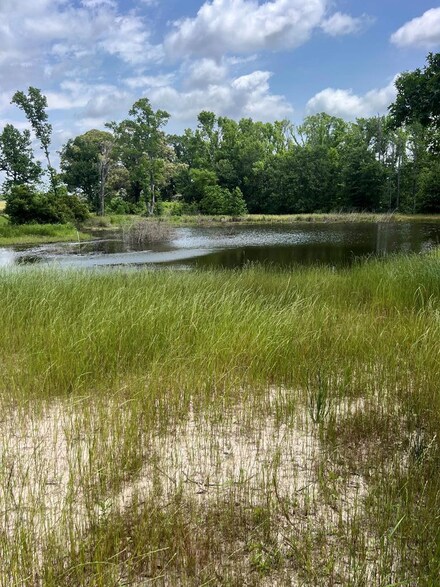 1095 Cr 3800, Athens (Area), TX 75751